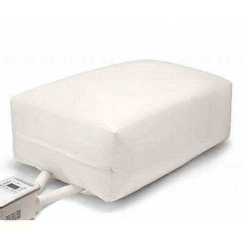 アイリスオーヤマ 布団乾燥機 ふとん乾燥機 ダニ退治 カラリエ ダニ撃退ふとん乾燥袋 FK－DGB1