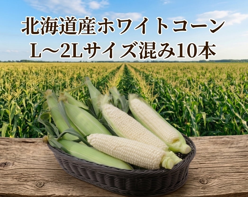 【出荷時期8月中旬～9月上旬まで(受付8/30終了)】北海道産ホワイトコーン()L-2Lサイズ混み10本(とうもろこし・トウモロコシ) 0000-031090