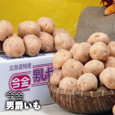 【出荷時期10/1頃-2月末まで(受付2/18終了)】北海道今金産 男爵いも(5kg)じゃがいも 【C】 0000-034134