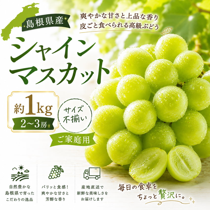 【出荷時期8月盆明け～順次出荷(受付終了9/30まで)】島根県産シャインマスカット約1kg【A】