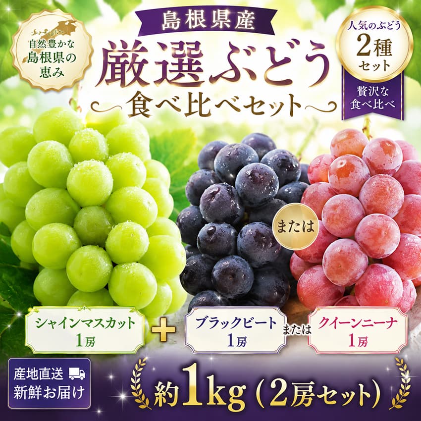 【出荷時期8月盆明け～順次出荷(受付終了9/10まで)島根県産 食べ比べぶどうセット約1kg【A】