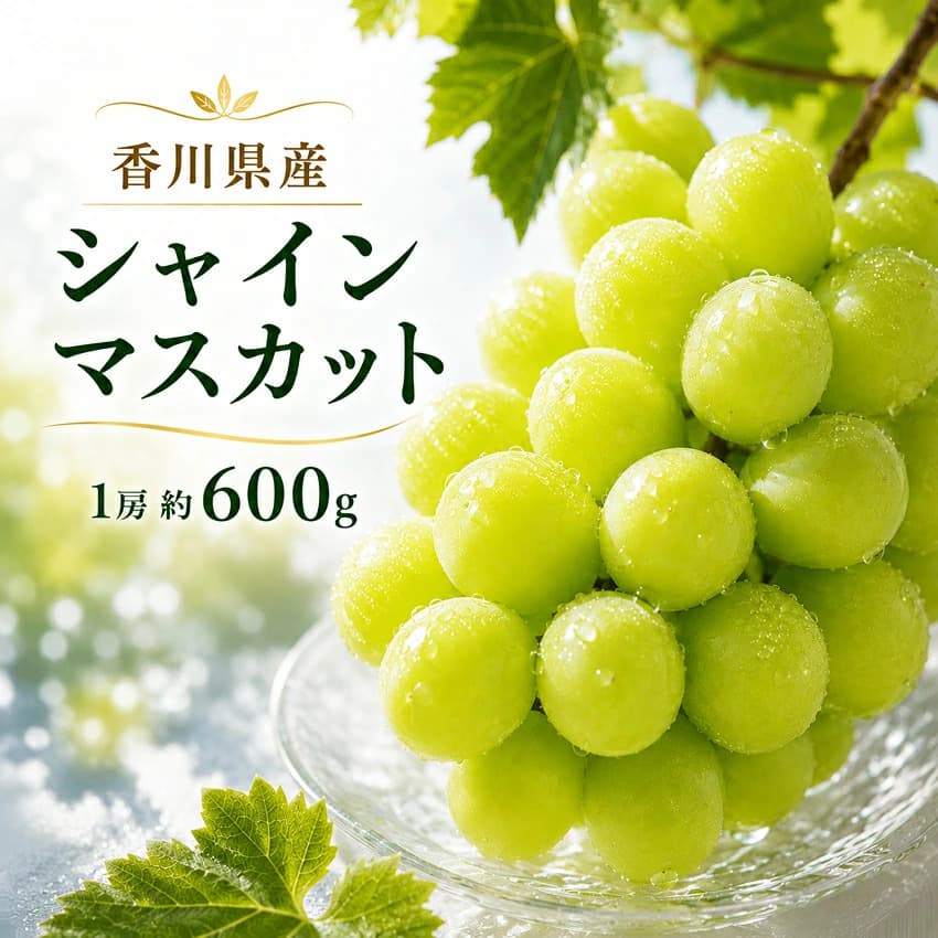 【約600g】香川県・瀬戸内産シャインマスカット (1房) 【A】冷蔵