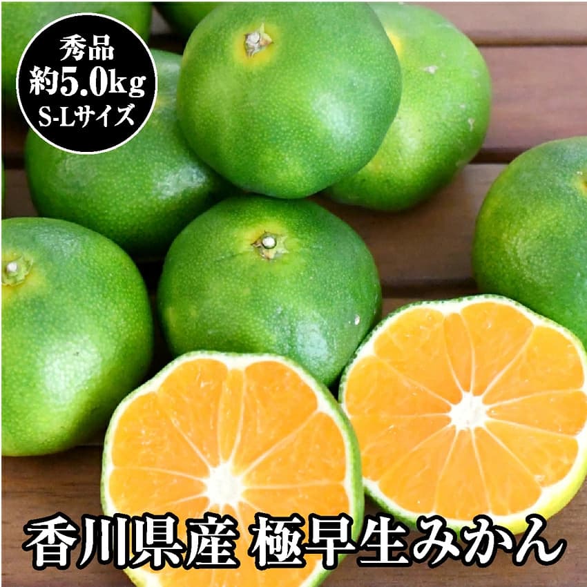 【約5kg】香川県産 極早生みかん（S-Lサイズ）【A】