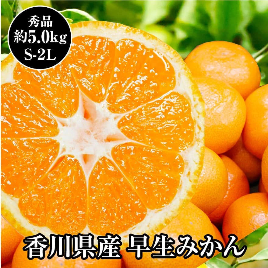 【出荷時期11月上旬～(受付11月下旬終了)】【約5kg】香川県産 早生みかん（S-Lサイズ）【A】