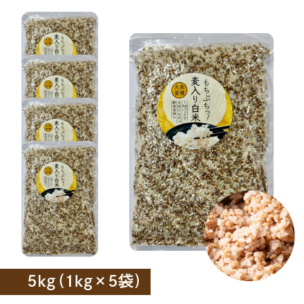 雑穀米本舗 国産 家計お助け米 もち麦ミックス 5kg(1kg×5袋)
