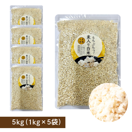 雑穀米本舗 国産 家計お助け米 丸麦ミックス 5kg(1kg×5袋)