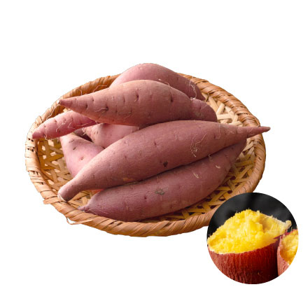 静岡県産 ”さつまいも” 紅はるか 10kg