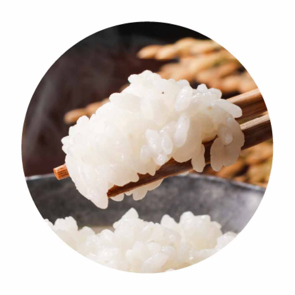 新米 三重県産 コシヒカリ 10kg ( 5kg×2 ) 令和7年産