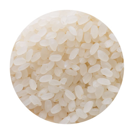 【白米】 令和7年産茨城県産 コシヒカリ 5kg(5kg×1袋)