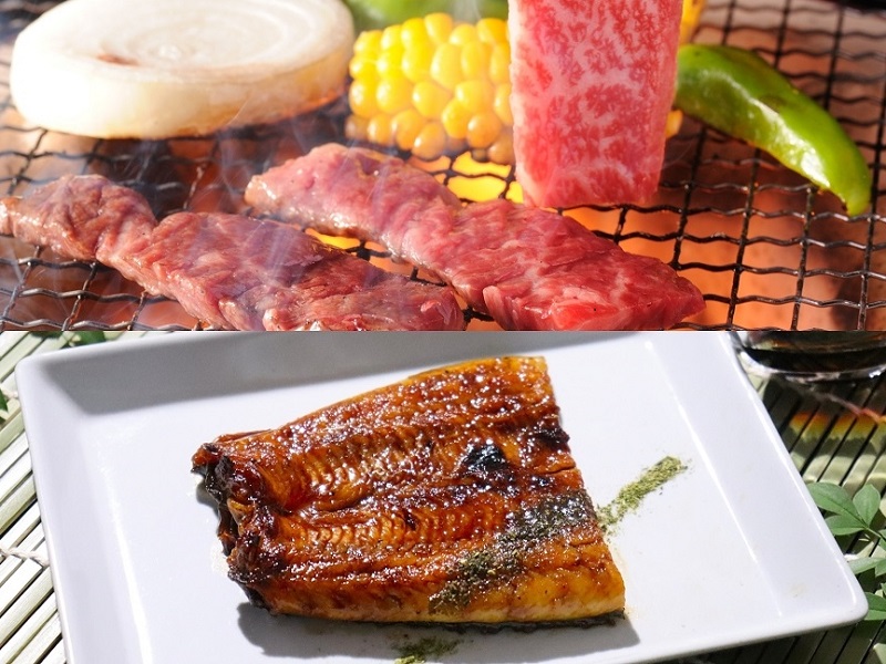 「愛知三河一色産」うなぎ蒲焼 と 「飛騨牛」焼肉用 詰合せ