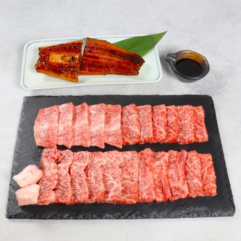 「愛知三河一色産」うなぎ蒲焼 と 「飛騨牛」焼肉用 詰合せ