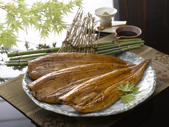 ミシュラン獲得の名店 京都・鰻割烹＜まえはら＞ 愛知三河一色産一本うなぎ蒲焼