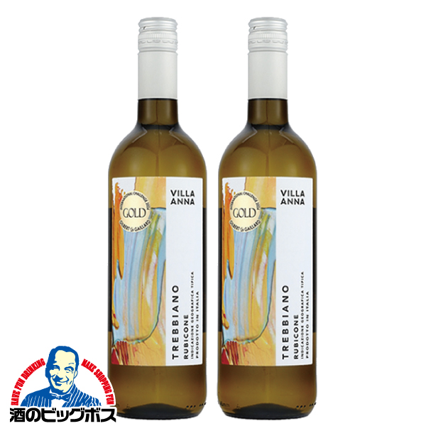 白ワイン イタリア ヴィラ アンナ トレッビアーノ 750ml×2本(002)『OMS』