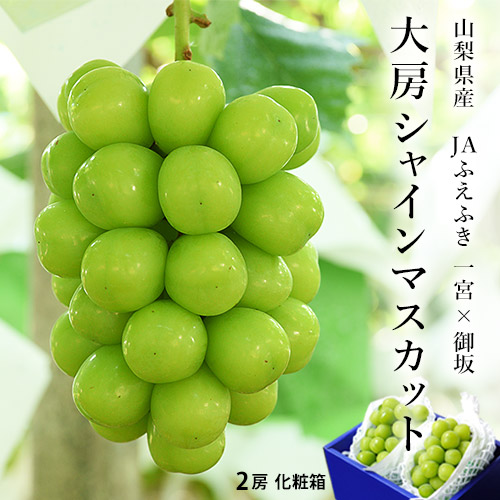 JAふえふき 大房 シャインマスカット 青秀品 2房 （合計約1.2kg） 山梨県産 化粧箱入　※冷蔵