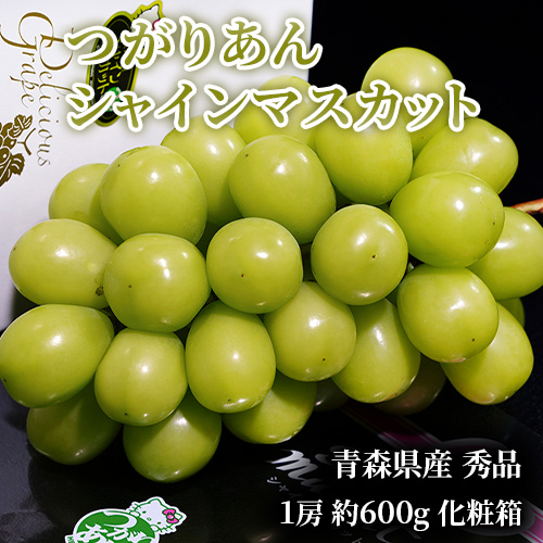 『つがりあん シャインマスカット』 青森県産 秀品 1房 約600g 化粧箱 ※冷蔵
