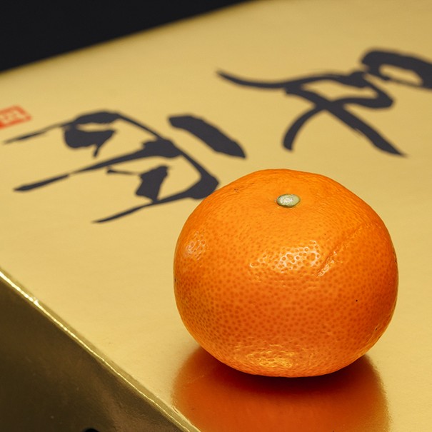 『日の丸みかん ゴールド千両』愛媛県産 特秀 S-Lサイズ 約5kg 化粧箱 風袋込 ※常温 JAにしうわ