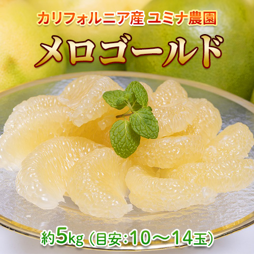 メロゴールド　カリフォルニア産 ユミナ農園 約5kg （目安：10-14玉） 簡易箱 ※常温