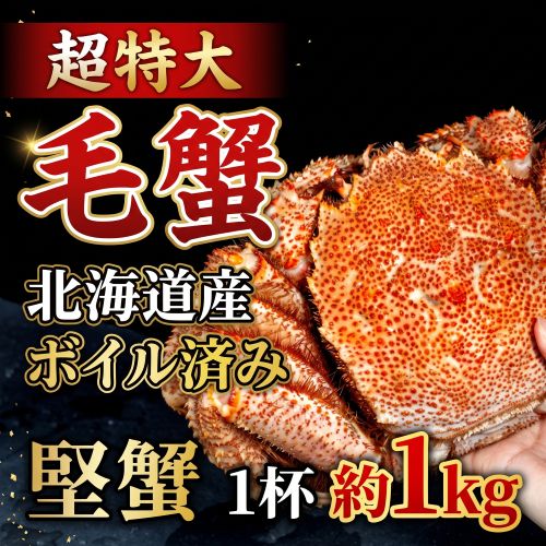 超特大「毛蟹」 北海道産 ボイル済み・堅蟹 1杯 約1kg ※冷凍