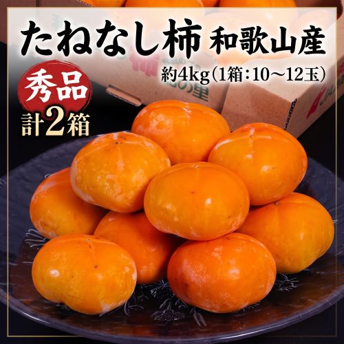 たねなし柿 和歌山産 秀品　計2箱 約4kg（1箱：10-12玉） 産地箱　※常温