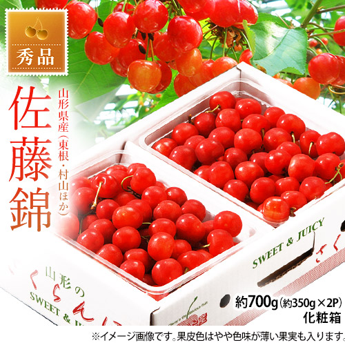 【6/1から順次出荷】 露地さくらんぼ 山形県産 佐藤錦 秀品 Lサイズ 約700g（約350ｇ×2P）※冷蔵 産地直送