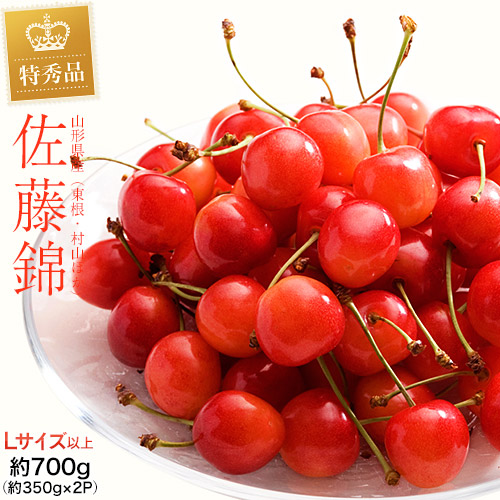【6/1から順次出荷】 露地さくらんぼ 山形県産 佐藤錦 特秀品 Lサイズ 約700g（約350ｇ×2P）※冷蔵 産地直送