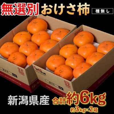【10/27～順次出荷】訳あり『おけさ柿（種無し）』新潟県産 スレ・キズあり 無選別 ご自宅用 計6kg（約3kg×2箱）簡易箱 ※常温