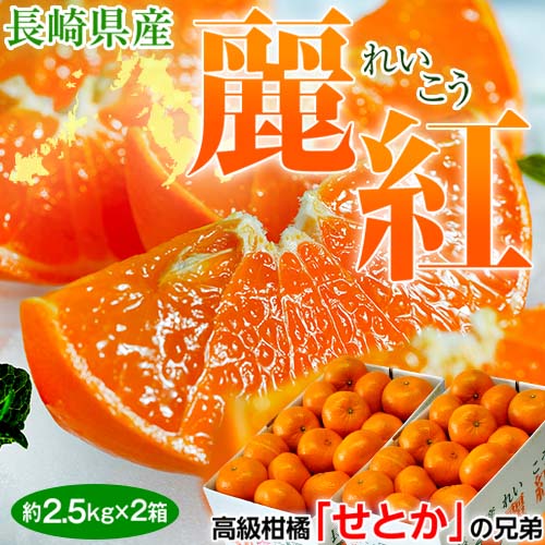 訳あり 長崎県産柑橘 麗紅（れいこう） S-L 約2.5kg×2箱 多少のスレ傷あり 産地箱 ※常温 JA長崎せいひ