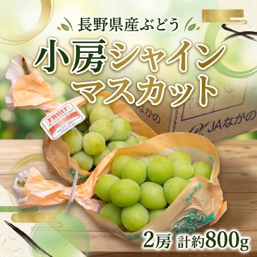 小房シャインマスカット 長野県産ぶどう 2房 計約800g ※常温
