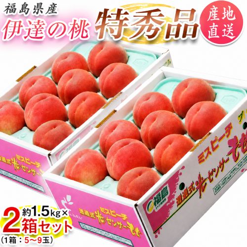 【7/5から順次出荷開始】福島県産より直送 「伊達の桃」 特秀品 約1.5kg×2箱 (1箱：5-9玉) 産地直送 ※常温