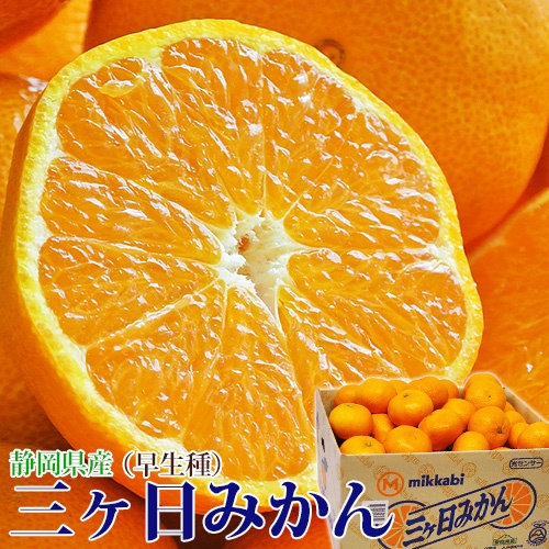 『三ヶ日みかん（早生）』静岡県産 2-3Lサイズ 約7kg 産地箱入 ※常温 JAみっかび