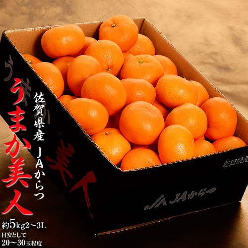 超大玉『うまか美人』 佐賀県産 みかん JAからつ　2L-3L 約5kg