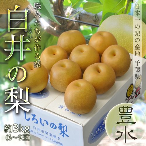 【8/24から順次出荷】 しろいの梨（品種：豊水）千葉県白井市産 約3kg（6-9玉）産地箱 ※冷蔵