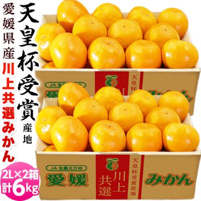 【11/16から順次出荷】天皇杯受賞産地JAにしうわ 愛媛 西宇和産 川上みかん 大玉2Lサイズ 約3kg×2箱 産地直送