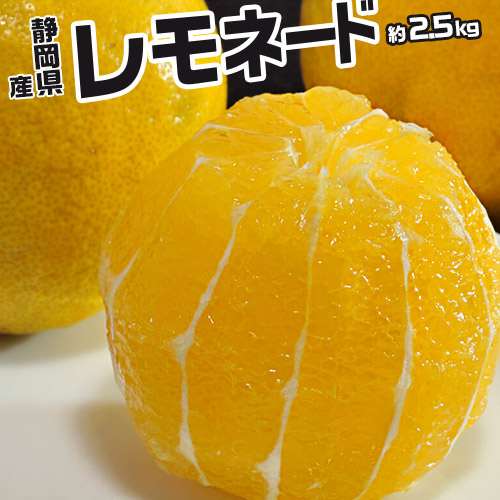 【2/23から出荷開始】 静岡県産柑橘 「レモネード」 2S-Lサイズ 約2.5kg 簡易箱 ※常温
