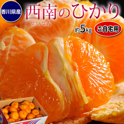 【12/15から出荷開始】 訳あり 西南のひかり 約5kg S-2Lサイズ 香川県産 ※常温 JA香川県