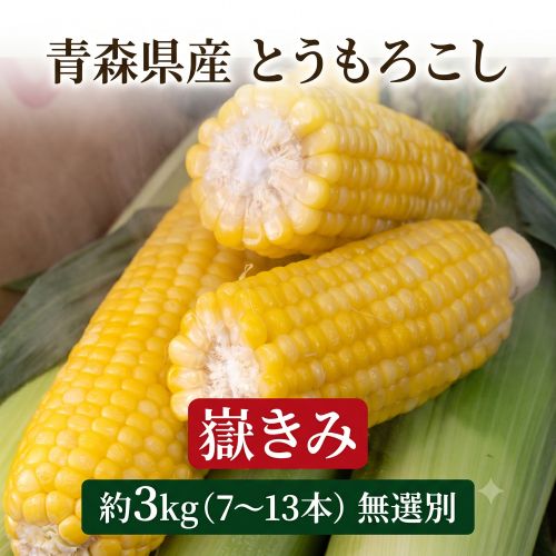 【8/17から順次出荷】 青森県産 とうもろこし 嶽きみ 約3kg（7-13本） 無選別 産地箱 ※冷蔵 岩木山嶽高原直送