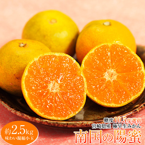 糖度10.5度以上『南国の陽蜜（ひみつ）』宮崎県産みかん 小玉 約2.5kg 産地箱 ※常温