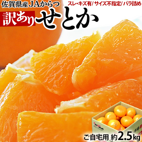【1/16から出荷開始】訳あり『せとか』 佐賀県産　JAからつ 約2.5kg 簡易梱包 ハウス栽培品 キズスレあり　※常温