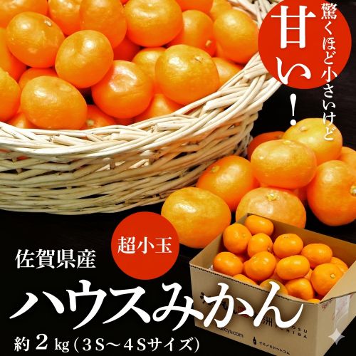 【7/6から順次出荷】ハウスみかん 佐賀県産 JAからつ 約2kg (目安として45-64玉） 超小玉 3-4S 簡易箱 ※常温