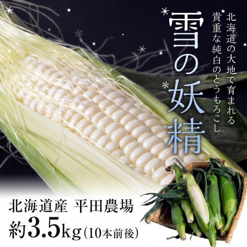 【8/1から順次出荷】とうもろこし 雪の妖精 北海道平田農場 10本（1本約350g）約3.5kg ※冷蔵 産地直送