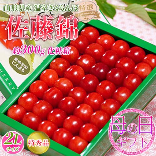 【5/3から順次出荷】 母の日ギフト 山形県産温室さくらんぼ 佐藤錦 大粒2L 特秀品 約300g 化粧箱 ※常温 カーネーション(造花)・メッセージカード付 産地直送