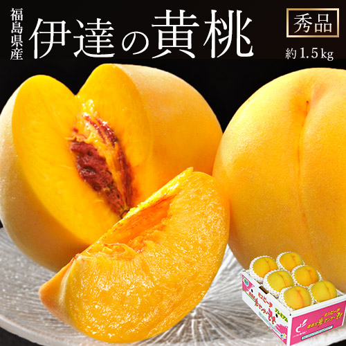 【8/17から順次出荷開始】福島県産 もも 伊達の黄桃 秀品 約1.5kg（4-8玉）産地箱 ※常温 JAふくしま未来