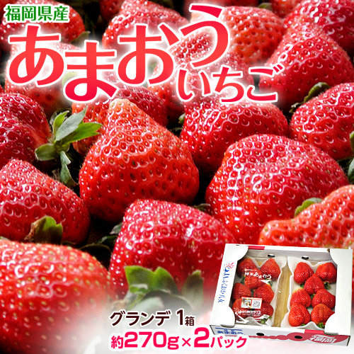 【1/10-順次出荷開始】『博多あまおう』福岡県八女産いちご グランデ 約270g×2パック 産地箱 ※冷蔵