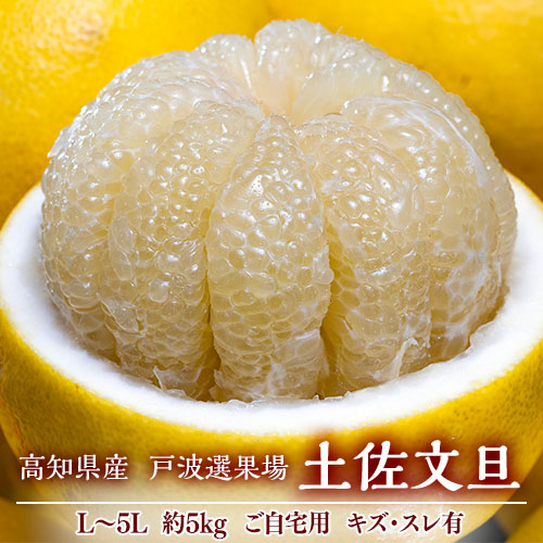 【2/2から出荷開始】 訳あり 戸波選果場『土佐文旦』 高知県産 柑橘 L-5L 約5kg 産地箱 風袋込 キズ・スレ等あり ※常温