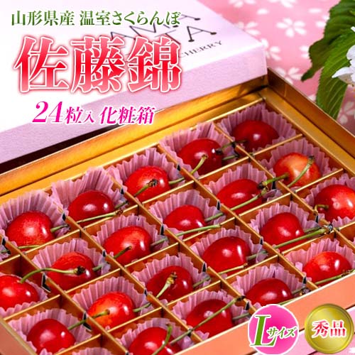 【4/20から順次出荷】 山形県産温室さくらんぼ 佐藤錦 Lサイズ 秀品 24粒入（約150g）化粧箱 ※常温 産地直送
