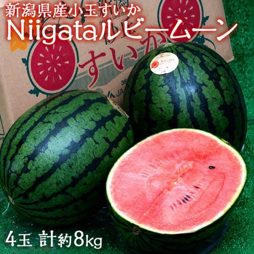【6/22から7/4までに出荷】小玉すいか「Niigataルビームーン」新潟県産 秀 4玉 計約8kg 産地箱 ※常温 新潟西小玉すいか部会
