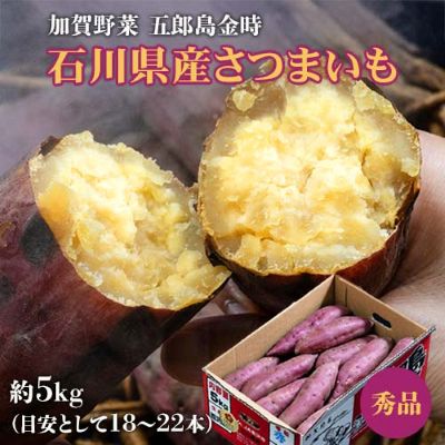 加賀野菜『五郎島金時』石川県産さつまいも 秀品 約5kg（目安として18-22本）※常温