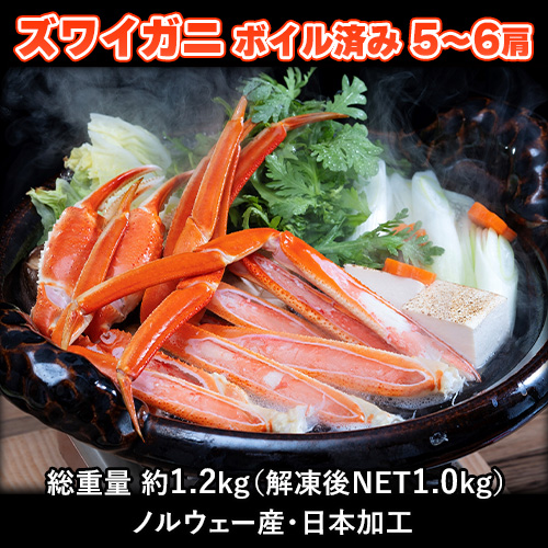 ズワイガニ ボイル済み 5-6肩 総重量 約1.2kg（解凍後NET1.0kg） ノルウェー産・日本加工 ※冷凍