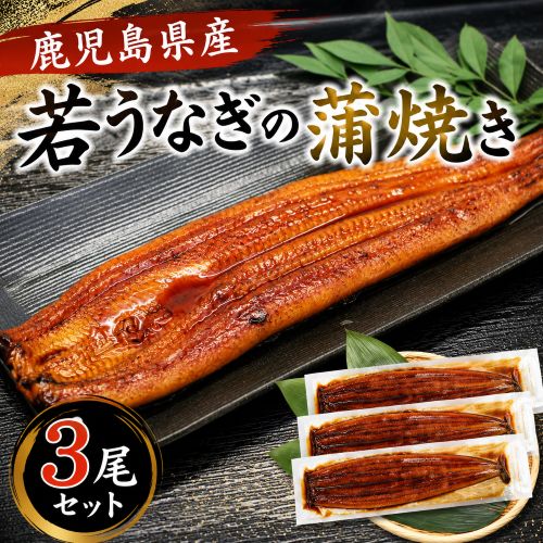 若うなぎの蒲焼 鹿児島県産 築地魚力 約120g×3尾 タレ・山椒付き ※冷凍