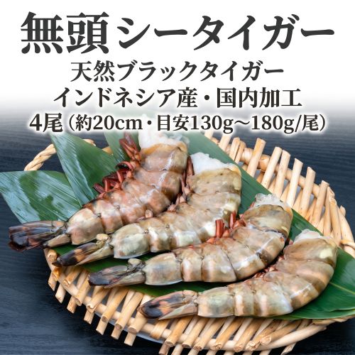極大 無頭 シータイガー(天然ブラックタイガー) インドネシア産・国内加工 4尾(約20cm・目安130g-180g/尾） ※冷凍